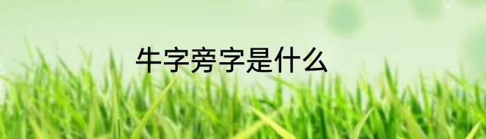 牛字旁字是什么