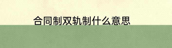 合同制双轨制什么意思