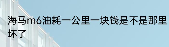 海马m6油耗一公里一块钱是不是那里坏了