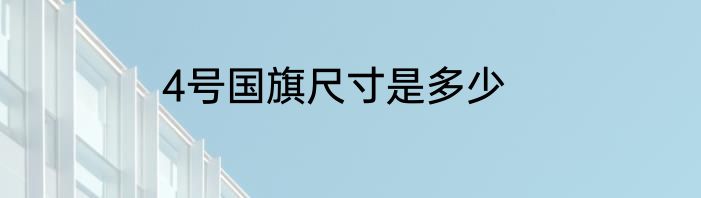 4号国旗尺寸是多少