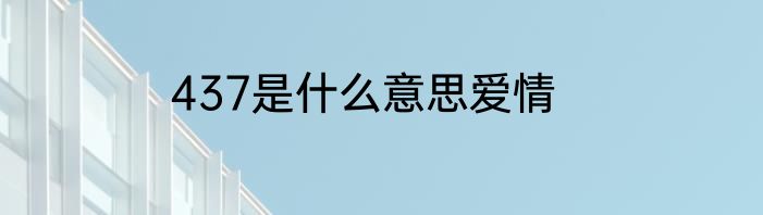 437是什么意思爱情
