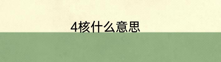 4核什么意思