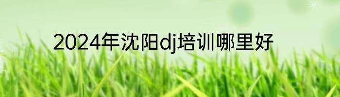 2024年沈阳dj培训哪里好