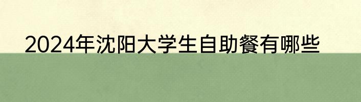 2024年沈阳大学生自助餐有哪些