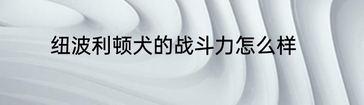 纽波利顿犬的战斗力怎么样