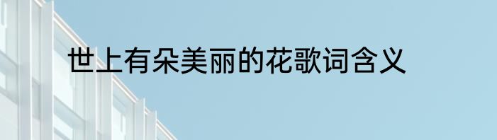 世上有朵美丽的花歌词含义