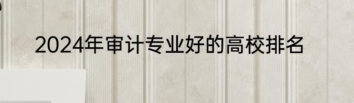 2024年审计专业好的高校排名
