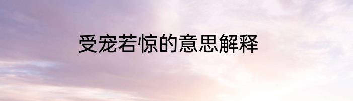 受宠若惊的意思解释