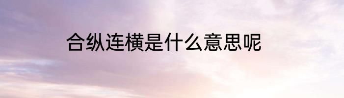 合纵连横是什么意思呢
