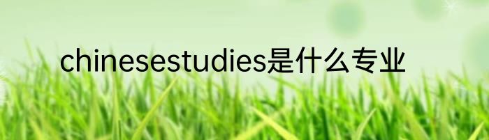 chinesestudies是什么专业