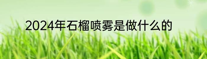 2024年石榴喷雾是做什么的