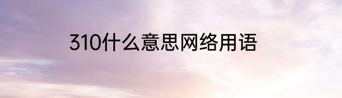 310什么意思网络用语