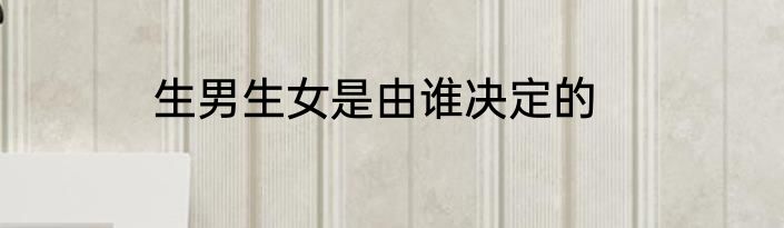 生男生女是由谁决定的