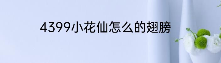 4399小花仙怎么的翅膀