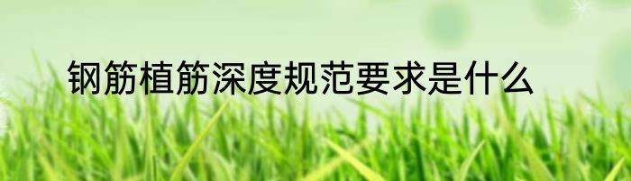 钢筋植筋深度规范要求是什么