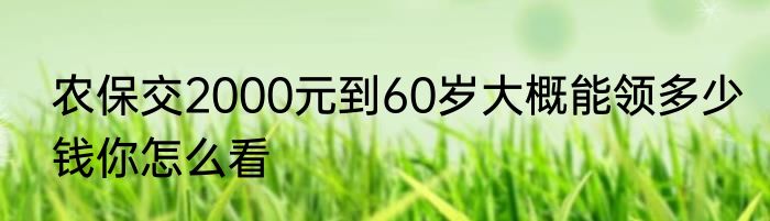 农保交2000元到60岁大概能领多少钱你怎么看