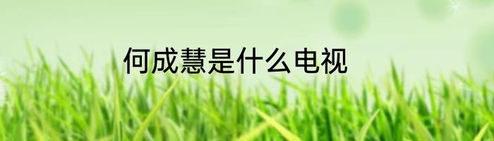 何成慧是什么电视
