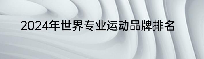 2024年世界专业运动品牌排名