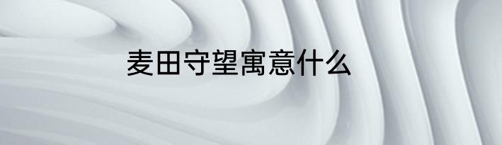麦田守望寓意什么