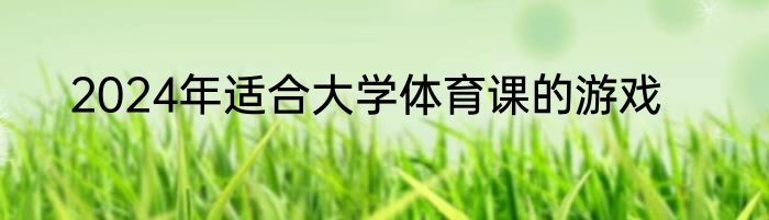 2024年适合大学体育课的游戏