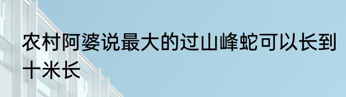 农村阿婆说最大的过山峰蛇可以长到十米长