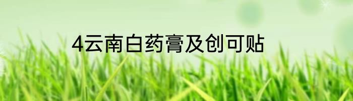 4云南白药膏及创可贴