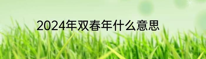 2024年双春年什么意思