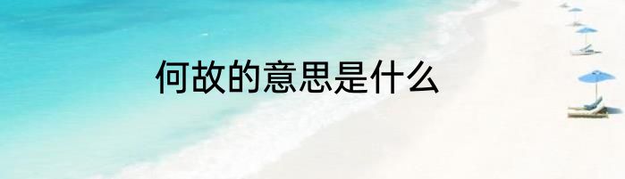 何故的意思是什么