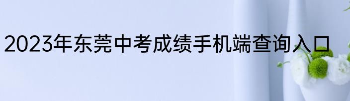 2023年东莞中考成绩手机端查询入口