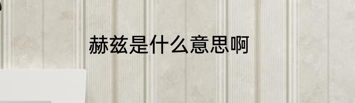 赫兹是什么意思啊