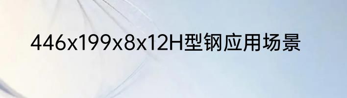 446x199x8x12H型钢应用场景