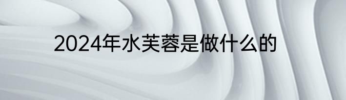 2024年水芙蓉是做什么的
