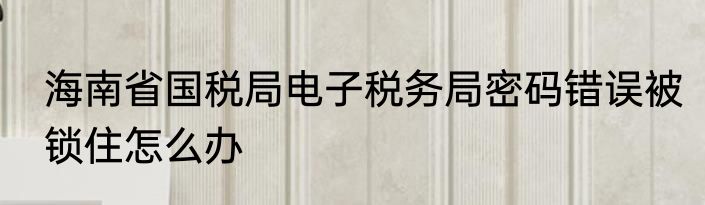 海南省国税局电子税务局密码错误被锁住怎么办