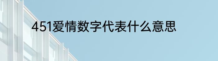 451爱情数字代表什么意思