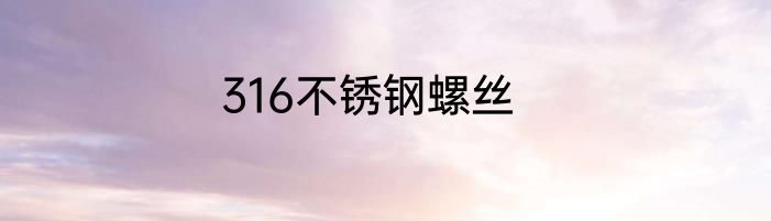 316不锈钢螺丝
