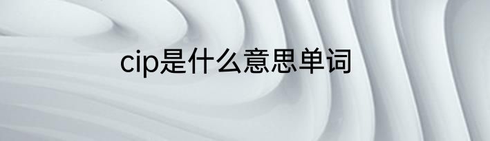 cip是什么意思单词