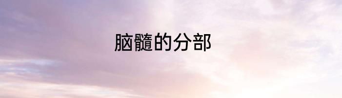 脑髓的分部