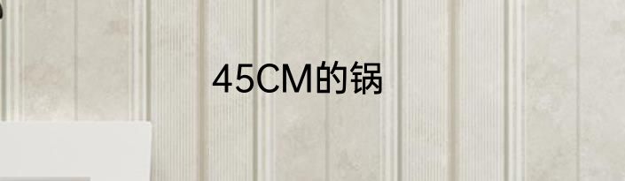 45CM的锅