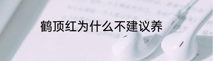 鹤顶红为什么不建议养