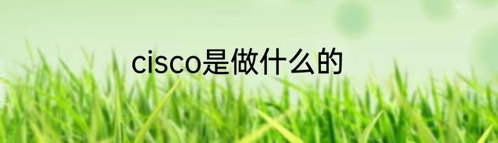 cisco是做什么的