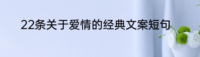 22条关于爱情的经典文案短句