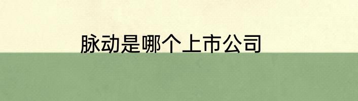 脉动是哪个上市公司