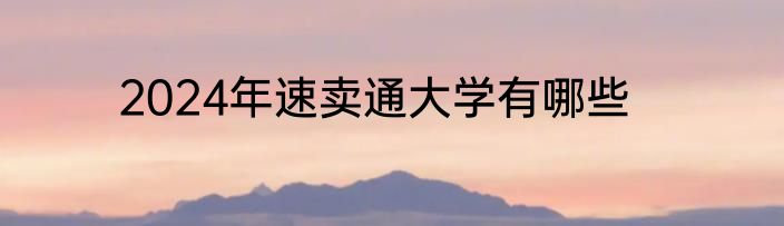 2024年速卖通大学有哪些