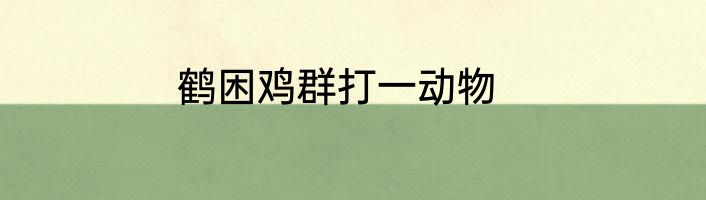 鹤困鸡群打一动物