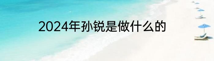 2024年孙锐是做什么的