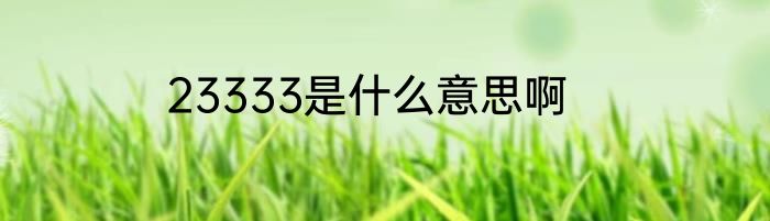 23333是什么意思啊