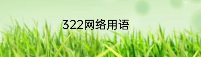 322网络用语