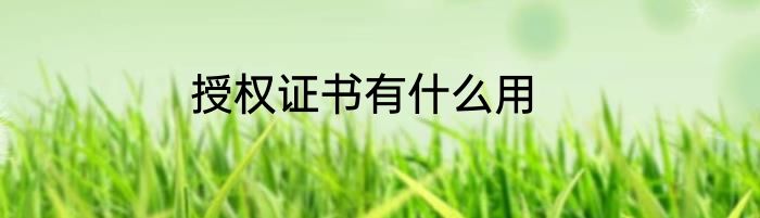 授权证书有什么用