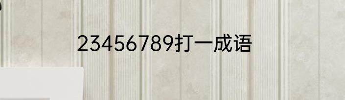 23456789打一成语