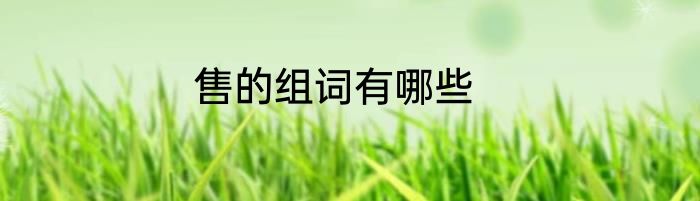 售的组词有哪些